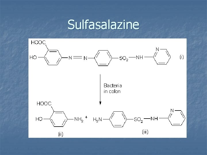 Sulfasalazine Salicylate Sulfinpyradone Sulfasalazine Salicylate Sulfinpyradone