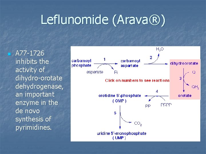 Leflunomide (Arava®) n A 77 -1726 inhibits the activity of dihydro-orotate dehydrogenase, an important Leflunomide (Arava®) n A 77 -1726 inhibits the activity of dihydro-orotate dehydrogenase, an important