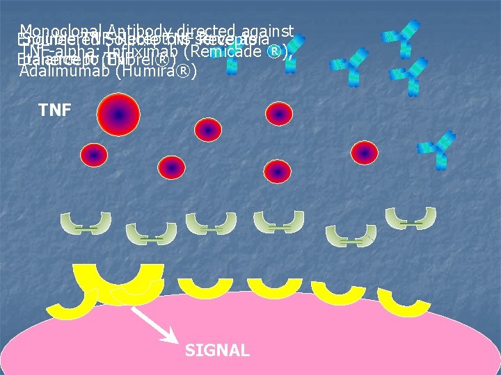 Monoclonal Antibody directed against Soluble TNF-Receptors serve as a Engineered Soluble TNF Receptor TNF-alpha: Monoclonal Antibody directed against Soluble TNF-Receptors serve as a Engineered Soluble TNF Receptor TNF-alpha: