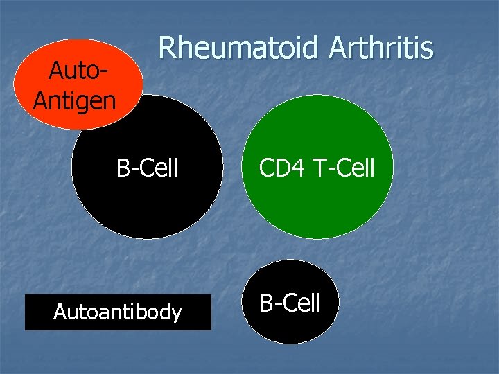 Auto. Antigen Rheumatoid Arthritis B-Cell Autoantibody CD 4 T-Cell B-Cell Auto. Antigen Rheumatoid Arthritis B-Cell Autoantibody CD 4 T-Cell B-Cell