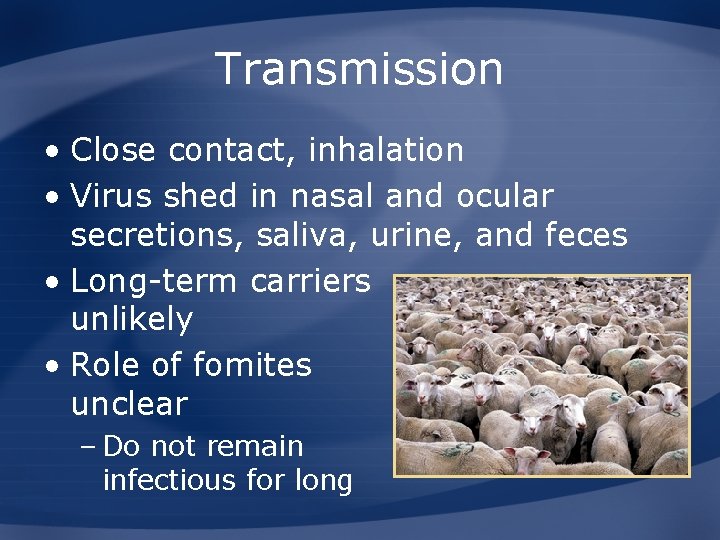 Transmission • Close contact, inhalation • Virus shed in nasal and ocular secretions, saliva,