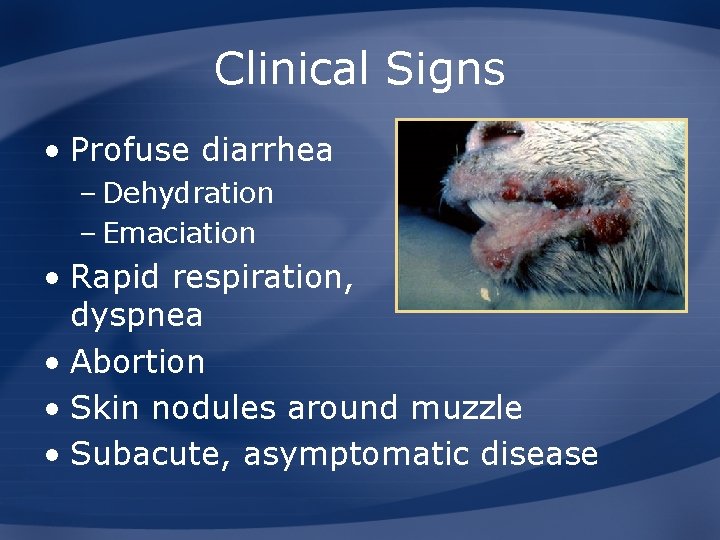 Clinical Signs • Profuse diarrhea – Dehydration – Emaciation • Rapid respiration, dyspnea •