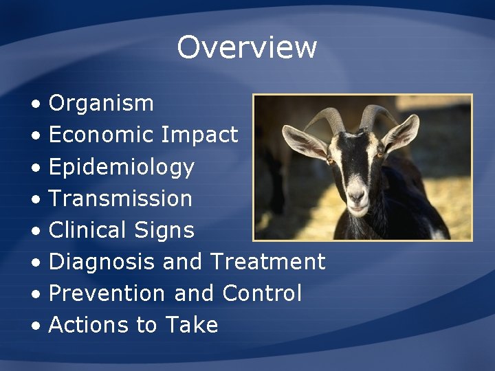 Overview • Organism • Economic Impact • Epidemiology • Transmission • Clinical Signs •