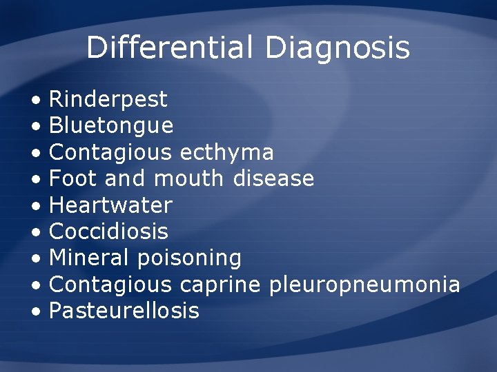 Differential Diagnosis • Rinderpest • Bluetongue • Contagious ecthyma • Foot and mouth disease