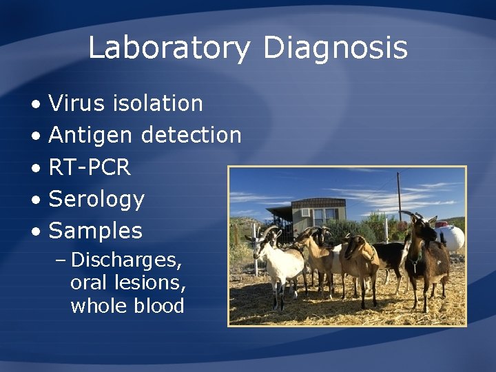 Laboratory Diagnosis • Virus isolation • Antigen detection • RT-PCR • Serology • Samples