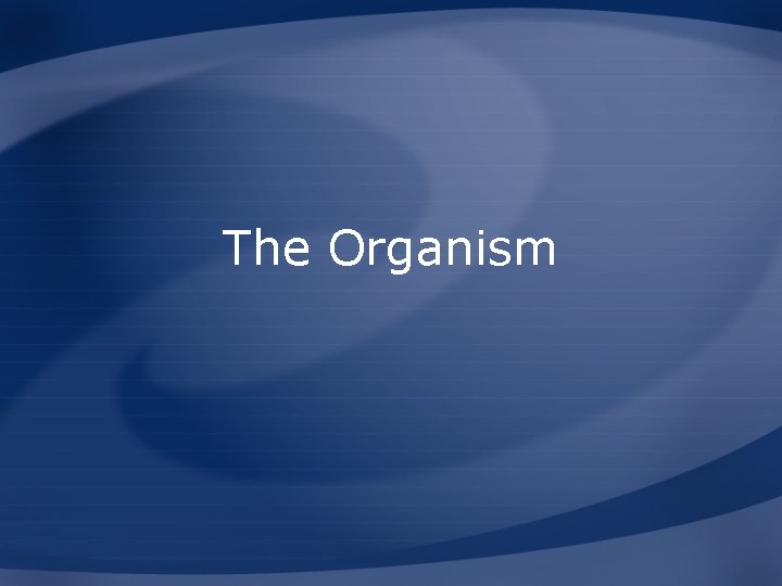 The Organism 