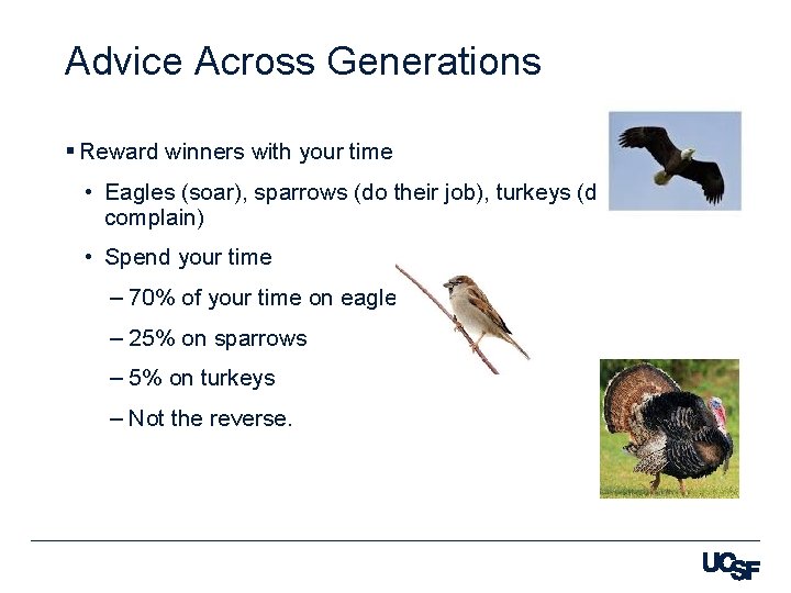 Advice Across Generations § Reward winners with your time • Eagles (soar), sparrows (do