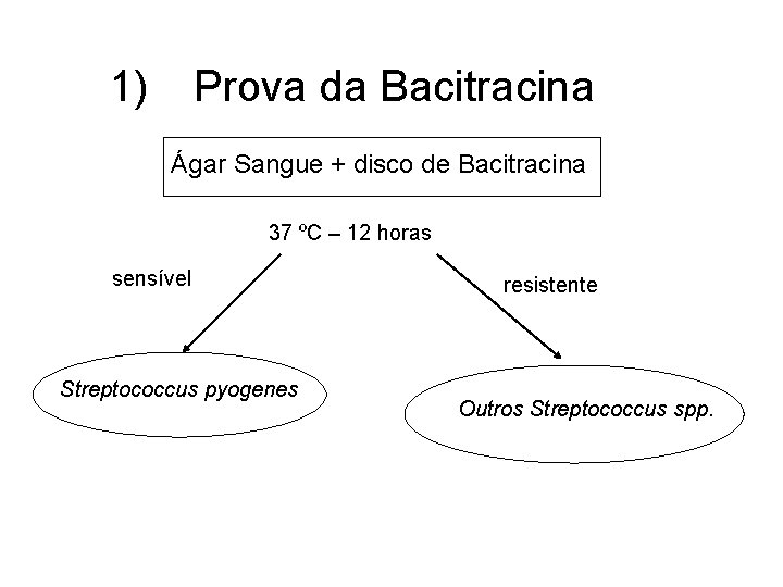 1) Prova da Bacitracina Ágar Sangue + disco de Bacitracina 37 ºC – 12