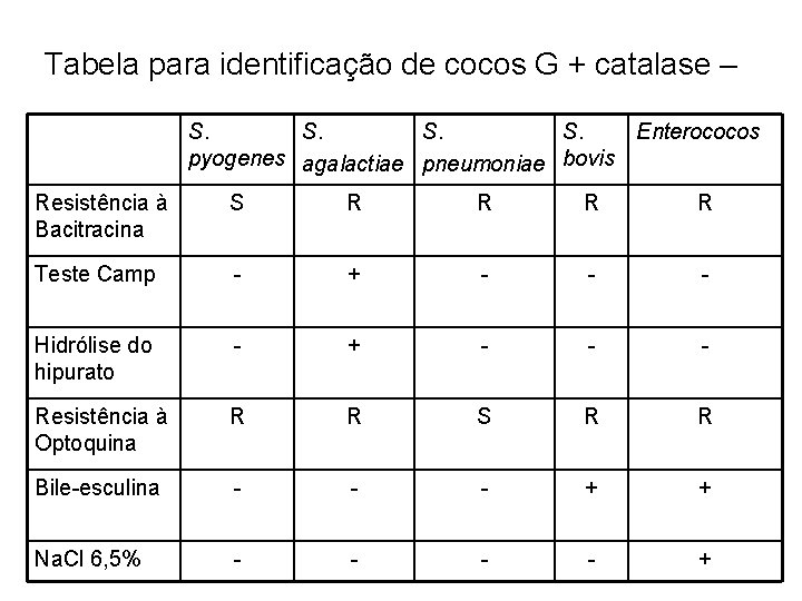 Tabela para identificação de cocos G + catalase – S. S. Enterococos pyogenes agalactiae