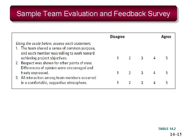 Sample Team Evaluation and Feedback Survey TABLE 14. 2 14– 15 