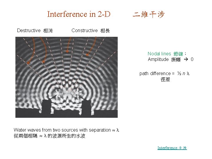 Interference in 2 -D Destructive 相消 二維干涉 Constructive 相長 Nodal lines 節線： Amplitude 振幅