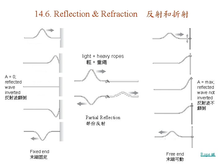 14. 6. Reflection & Refraction 反射和折射 light + heavy ropes 輕 + 重繩 A
