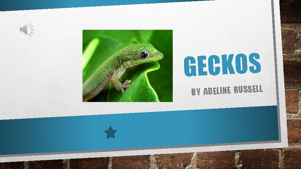 GECKOS BY ADELINE RUSSELL 