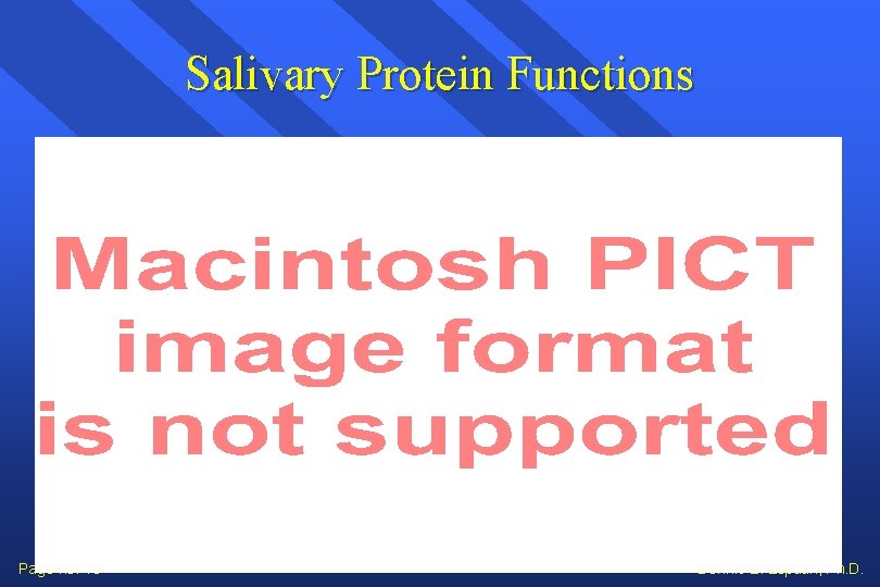 Salivary Protein Functions Page no. 10 Dennis E. Lopatin, Ph. D. 