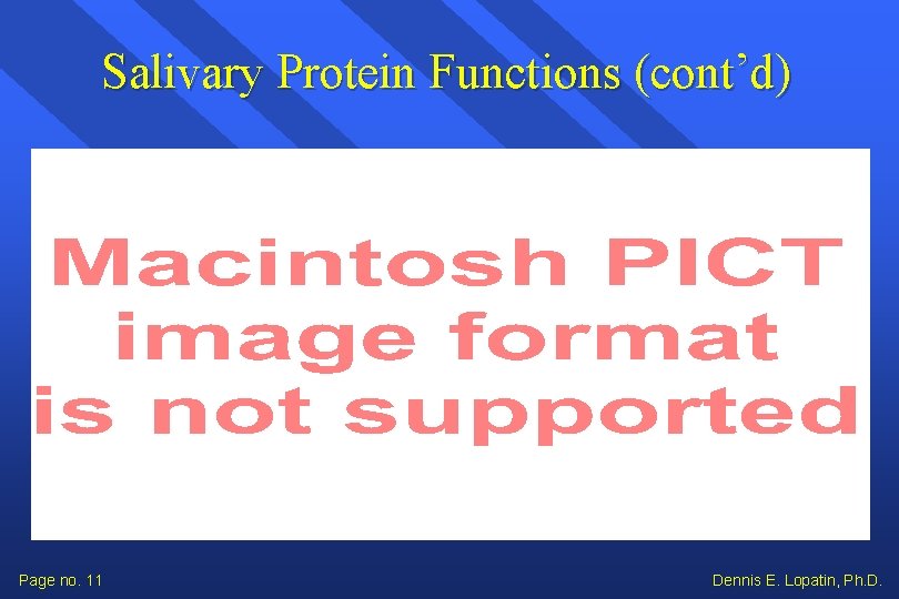 Salivary Protein Functions (cont’d) Page no. 11 Dennis E. Lopatin, Ph. D. 