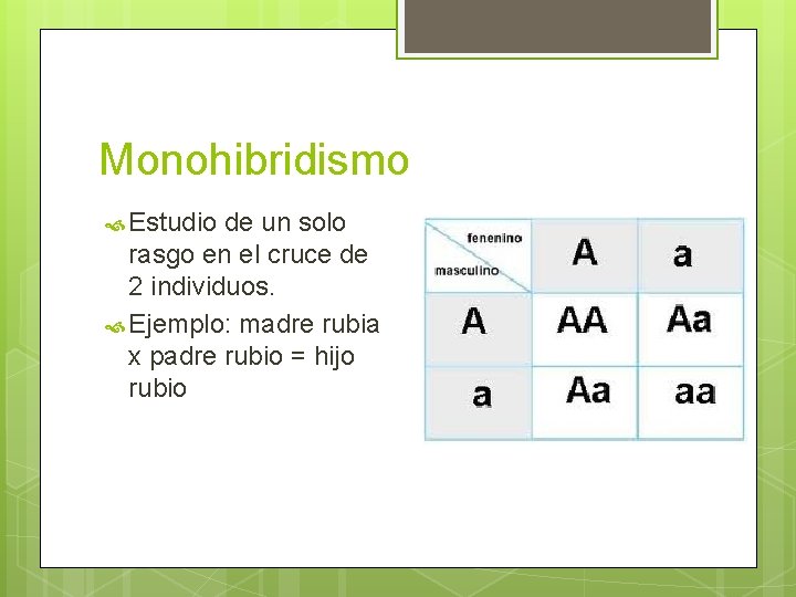 Monohibridismo Estudio de un solo rasgo en el cruce de 2 individuos. Ejemplo: madre Monohibridismo Estudio de un solo rasgo en el cruce de 2 individuos. Ejemplo: madre