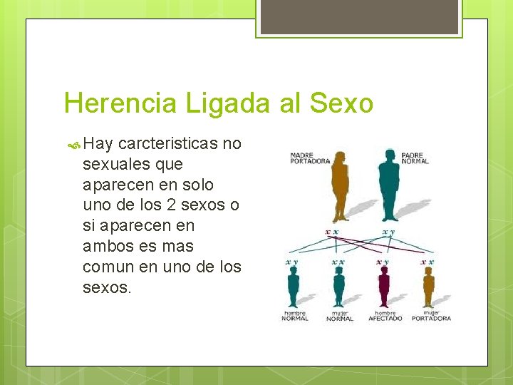 Herencia Ligada al Sexo Hay carcteristicas no sexuales que aparecen en solo uno de Herencia Ligada al Sexo Hay carcteristicas no sexuales que aparecen en solo uno de