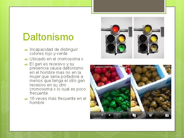 Daltonismo Incapacidad de distinguir colores rojo y verde Ubicado en el cromosoma x El Daltonismo Incapacidad de distinguir colores rojo y verde Ubicado en el cromosoma x El