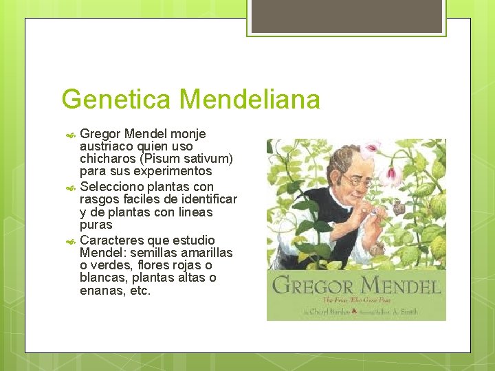 Genetica Mendeliana Gregor Mendel monje austriaco quien uso chicharos (Pisum sativum) para sus experimentos Genetica Mendeliana Gregor Mendel monje austriaco quien uso chicharos (Pisum sativum) para sus experimentos