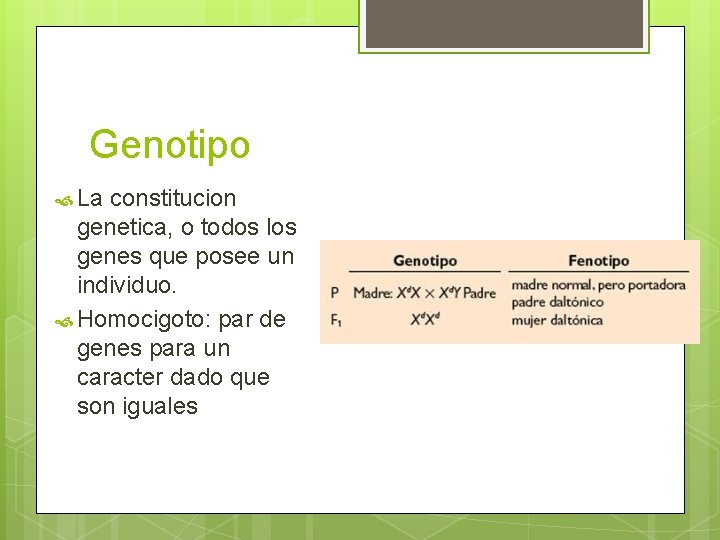 Genotipo La constitucion genetica, o todos los genes que posee un individuo. Homocigoto: par Genotipo La constitucion genetica, o todos los genes que posee un individuo. Homocigoto: par