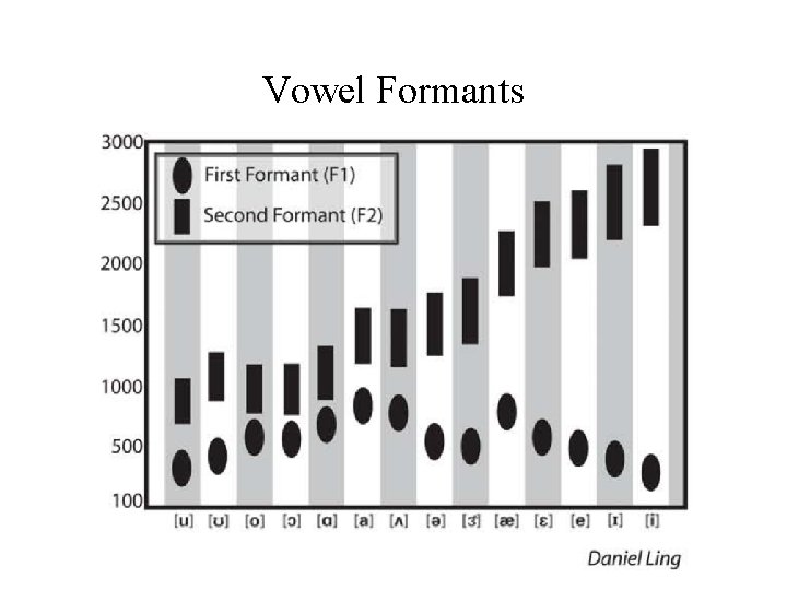 Vowel Formants 