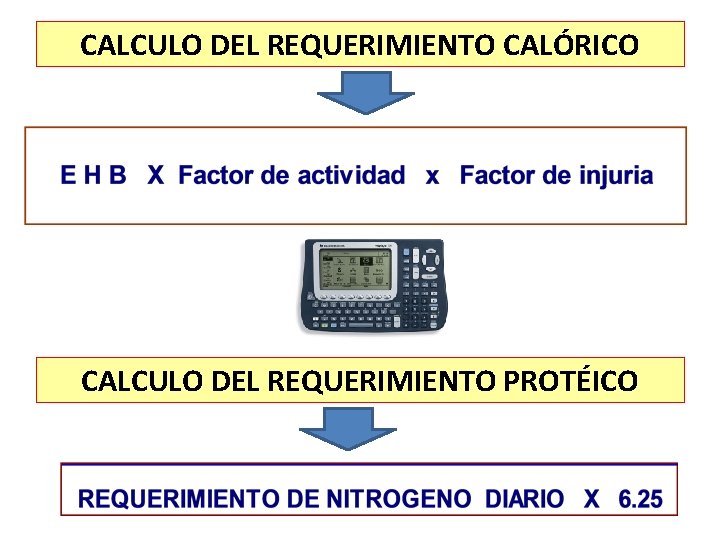 CALCULO DEL REQUERIMIENTO CALÓRICO CALCULO DEL REQUERIMIENTO PROTÉICO 