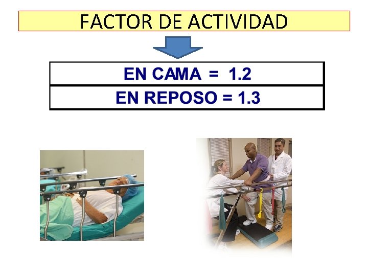 FACTOR DE ACTIVIDAD 