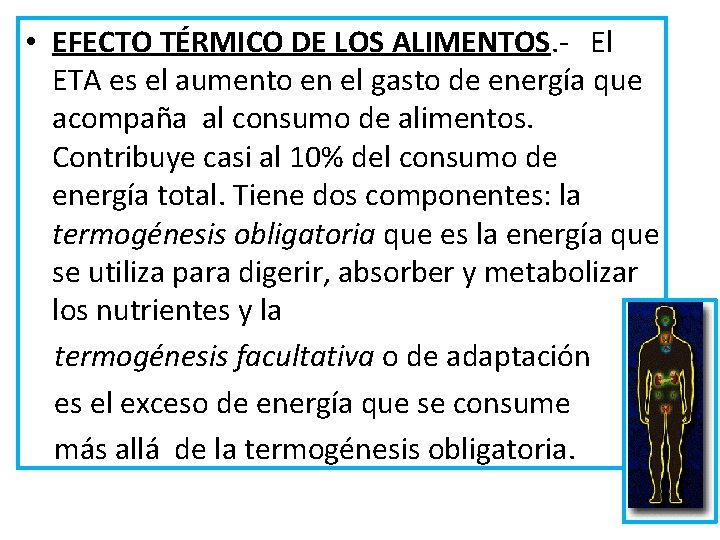  • EFECTO TÉRMICO DE LOS ALIMENTOS. - El ETA es el aumento en