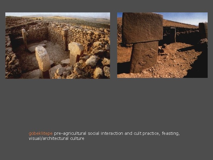 gobeklitepe pre-agricultural social interaction and cult practice, feasting, visual/architectural culture 
