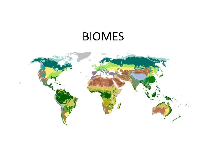 BIOMES 