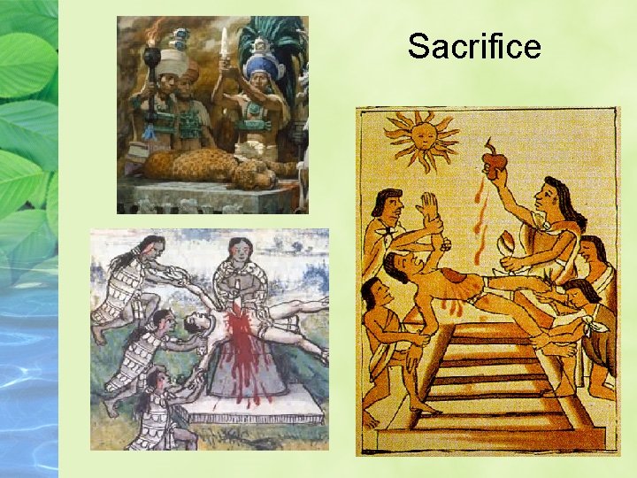 Sacrifice 