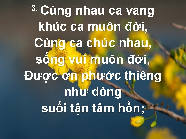 3. Cùng nhau ca vang khúc ca muôn đời, Cùng ca chúc nhau, sống