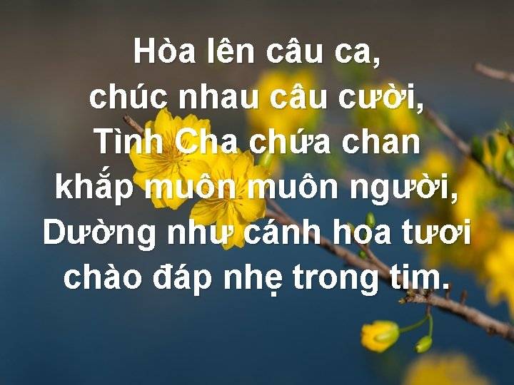 Hòa lên câu ca, chúc nhau câu cười, Tình Cha chứa chan khắp muôn