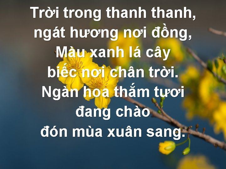 Trời trong thanh, ngát hương nơi đồng, Màu xanh lá cây biếc nơi chân