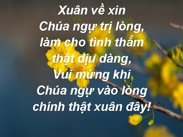 Xuân về xin Chúa ngự trị lòng, làm cho tình thắm thật dịu dàng,