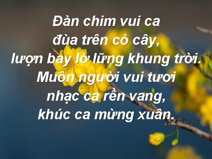 Đàn chim vui ca đùa trên cỏ cây, lượn bay lờ lững khung trời.