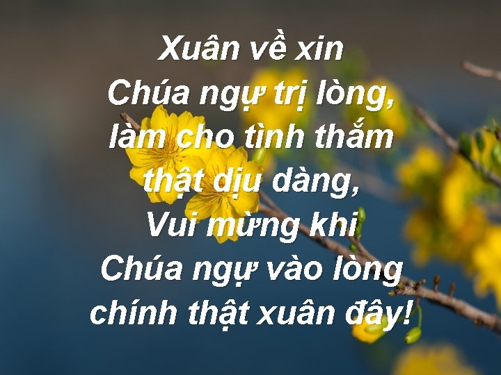 Xuân về xin Chúa ngự trị lòng, làm cho tình thắm thật dịu dàng,