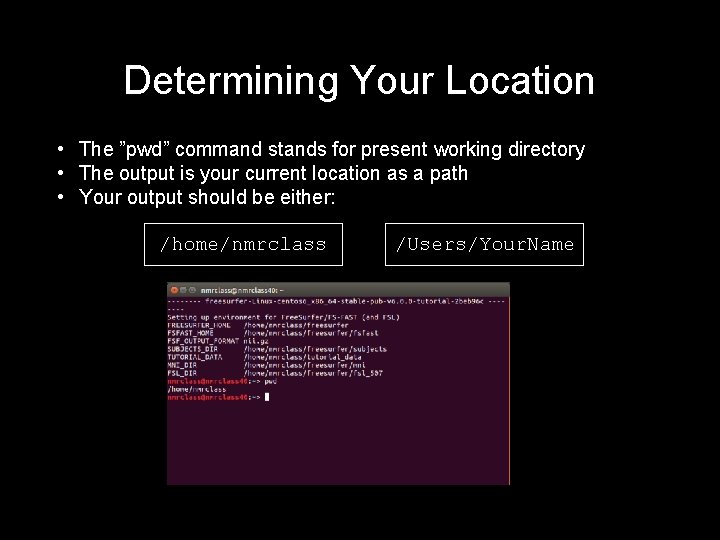 Determining Your Location • The ”pwd” command stands for present working directory • The