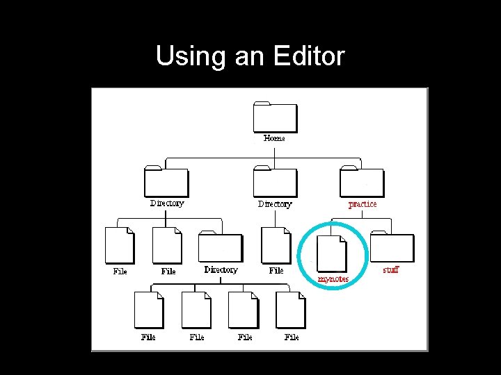 Using an Editor 