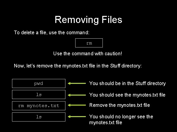 Removing Files To delete a file, use the command: rm Use the command with