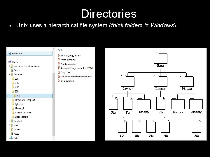 Directories ◈ Unix uses a hierarchical file system (think folders in Windows) 