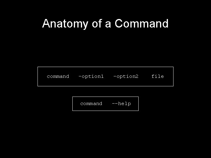 Anatomy of a Command command -option 1 command –option 2 --help file Anatomy of a Command command -option 1 command –option 2 --help file