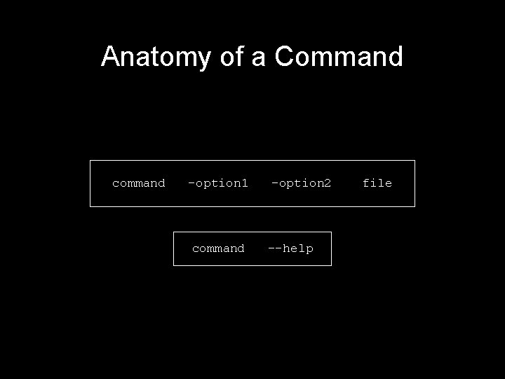 Anatomy of a Command command -option 1 command –option 2 --help file 
