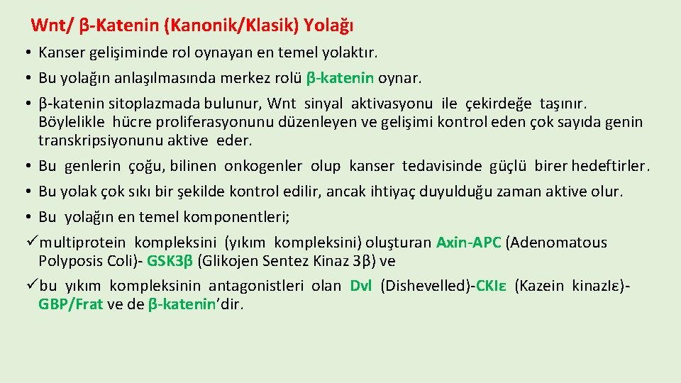 Wnt/ β-Katenin (Kanonik/Klasik) Yolağı • Kanser gelişiminde rol oynayan en temel yolaktır. • Bu