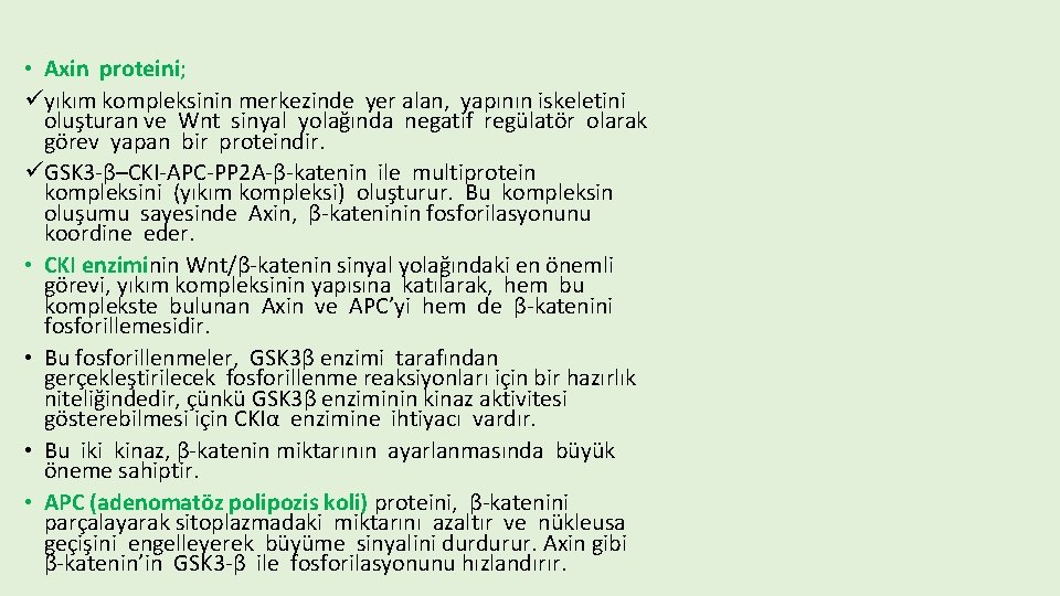  • Axin proteini; üyıkım kompleksinin merkezinde yer alan, yapının iskeletini oluşturan ve Wnt