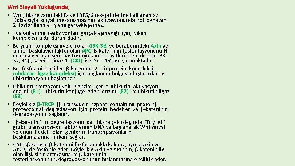 Wnt Sinyali Yokluğunda; • Wnt, hücre zarındaki Fz ve LRP 5/6 reseptörlerine bağlanamaz. •