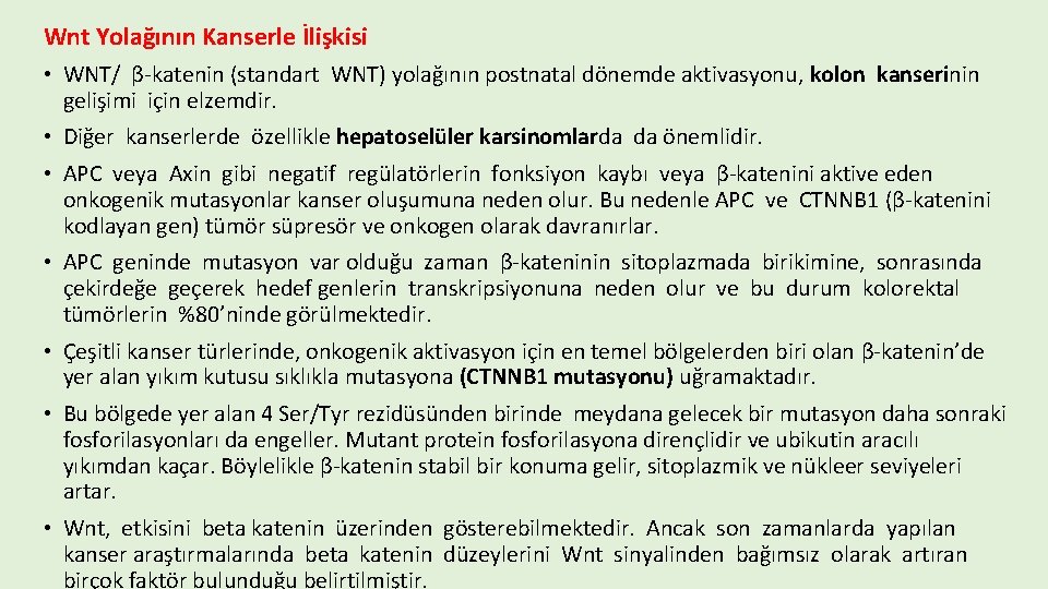 Wnt Yolağının Kanserle İlişkisi • WNT/ β-katenin (standart WNT) yolağının postnatal dönemde aktivasyonu, kolon