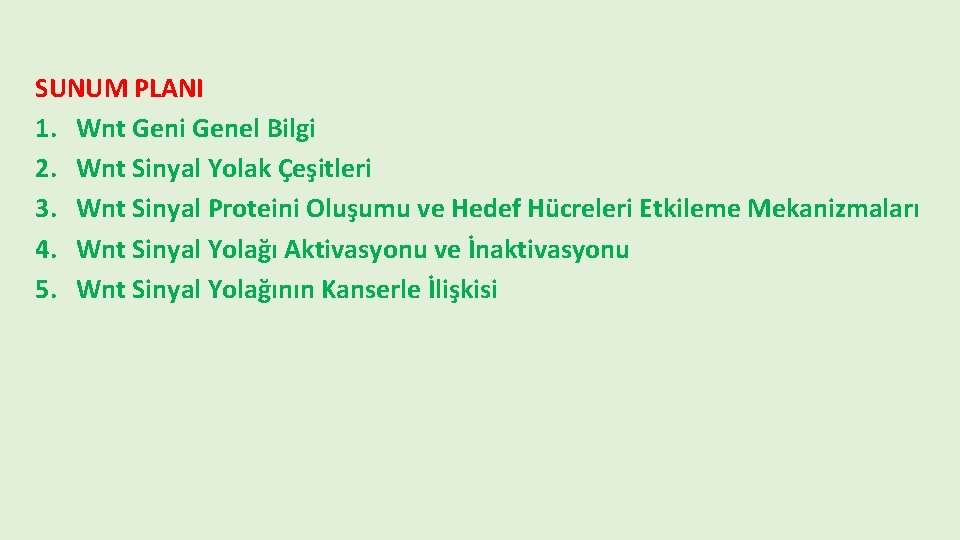 SUNUM PLANI 1. Wnt Geni Genel Bilgi 2. Wnt Sinyal Yolak Çeşitleri 3. Wnt