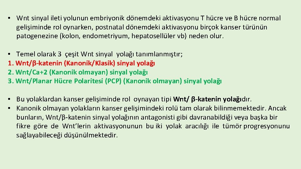  • Wnt sinyal ileti yolunun embriyonik dönemdeki aktivasyonu T hücre ve B hücre