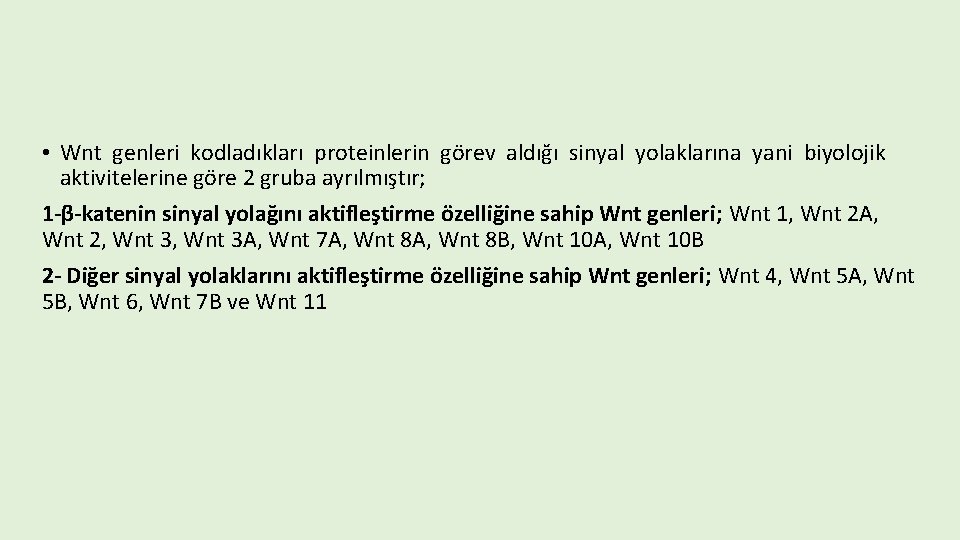  • Wnt genleri kodladıkları proteinlerin görev aldığı sinyal yolaklarına yani biyolojik aktivitelerine göre